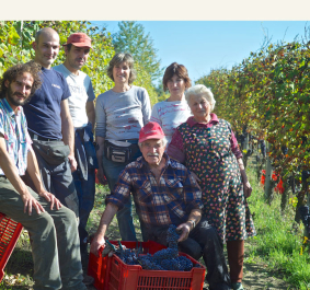 Produttori di Barbaresco