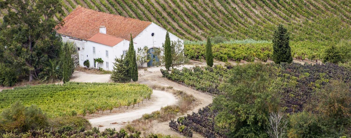 Quinta do Conde (1)