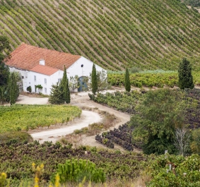 Quinta do Conde (1)