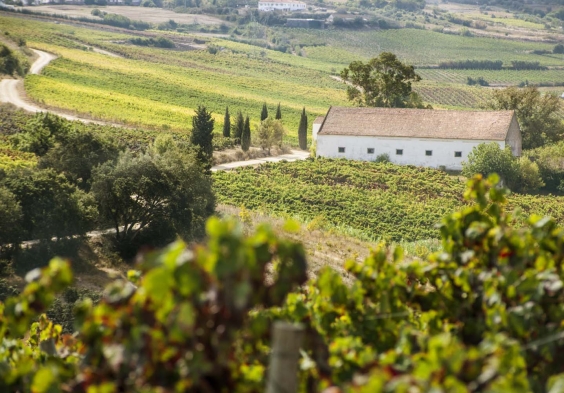 Quinta do Conde (2)