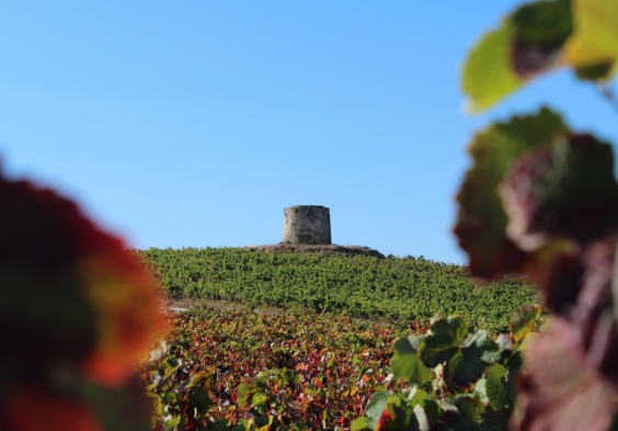 Quinta do Conde (4)