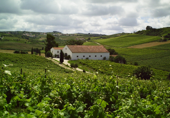 Quinta do Conde (5)