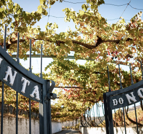 Quinta do Noval1