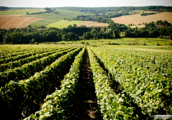 R Faivre (1)