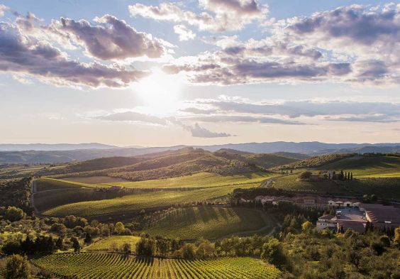 Ricasoli (1)