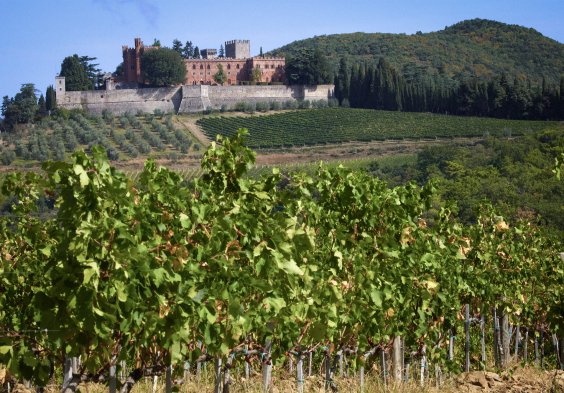 Ricasoli (2)