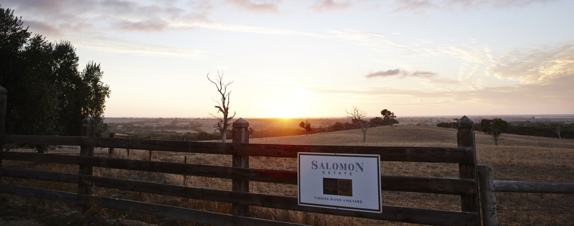 salomon estate