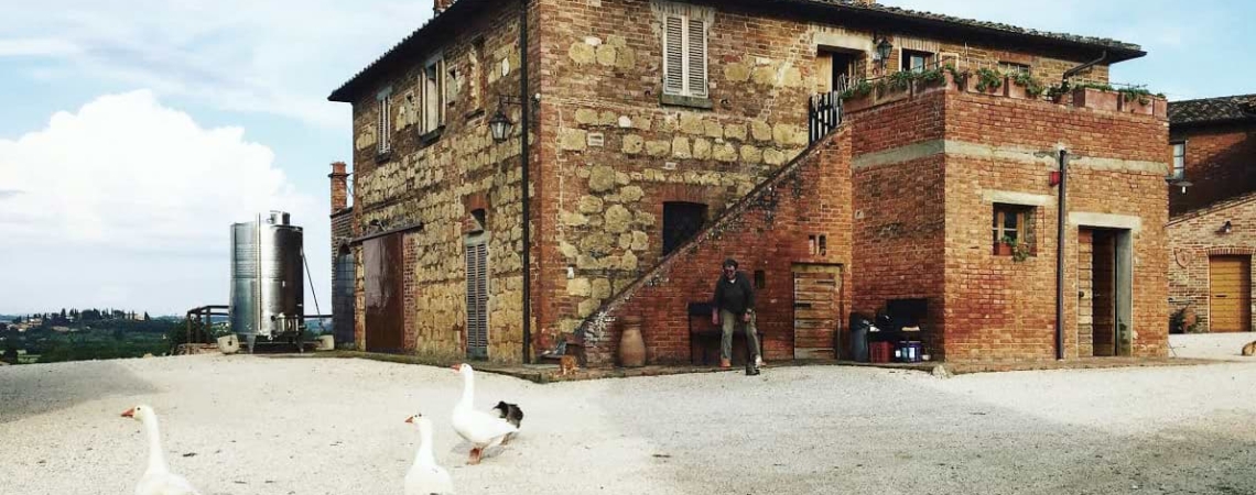 Sanguineto I