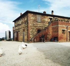 Sanguineto I
