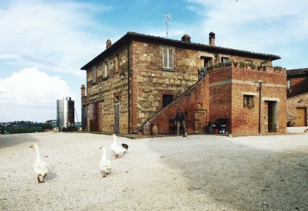 Sanguineto I