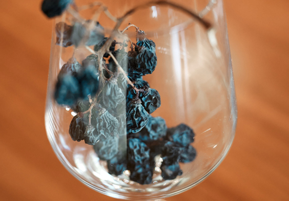 Speri 2022 Glas