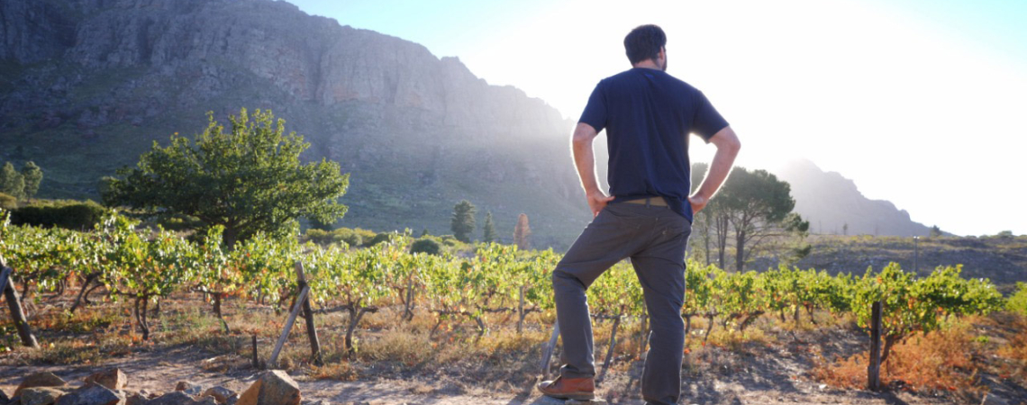 Swartberg – Rudiger in the Vineyards