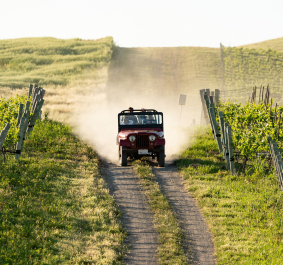TALLEY VINEYARDS EXPERIENCE 01
