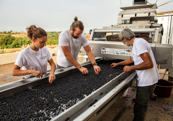 Tenuta Il Quinto 11