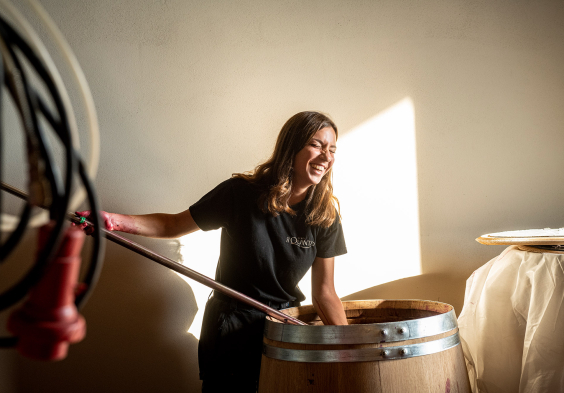 Tenuta Il Quinto 7