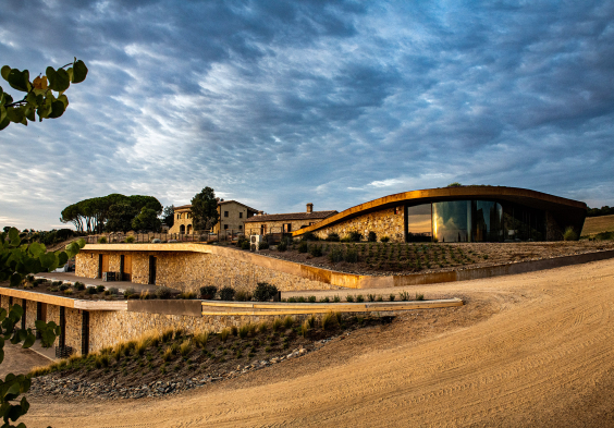 Tenuta Il Quinto 9