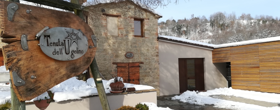 Tenuta dell Ugolino