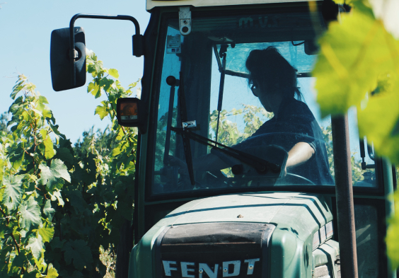 Terres dImaginaire Traktor