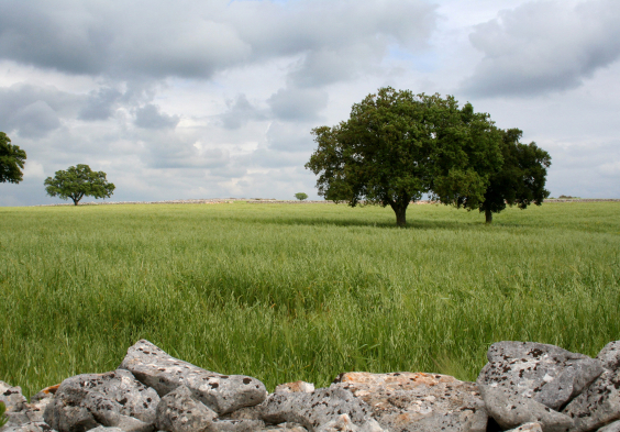Torrevento (4)
