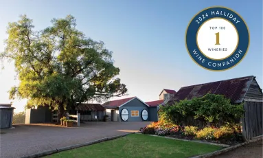 Großer Baum neben rustikalen Weinberggebäuden bei Sonnenuntergang.