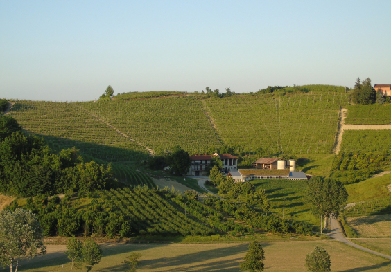 Val del Prete Weingarten 3