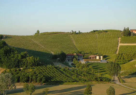 Val del Prete Weingarten 3