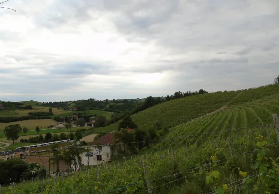 Val del Prete Weingarten 4