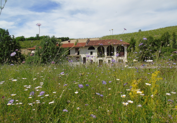 Val del Prete Weingarten Berguenung