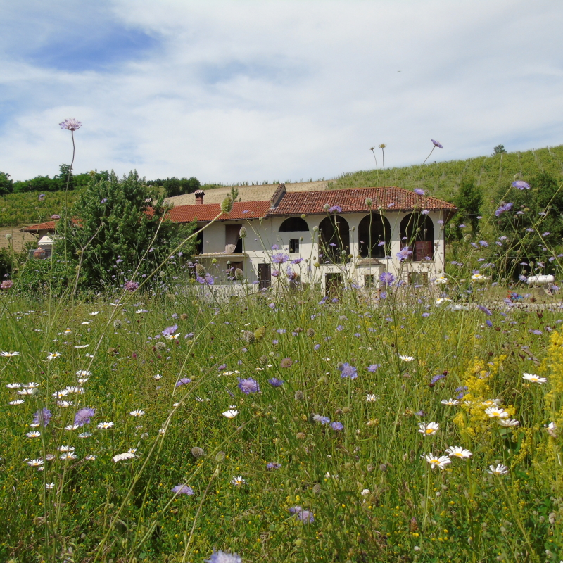 Val del Prete Weingarten Berguenung