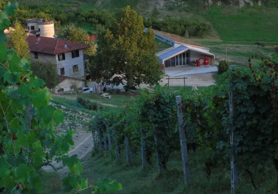 Val del Prete Weingarten Weingut