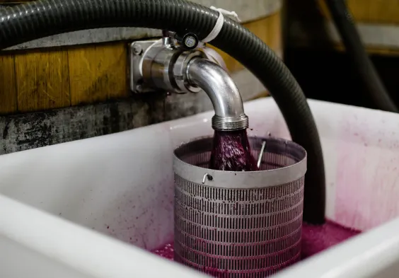 WEB CLOS DU CAILLOU 03