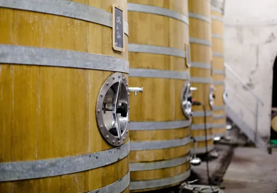 WEB CLOS DU CAILLOU 04