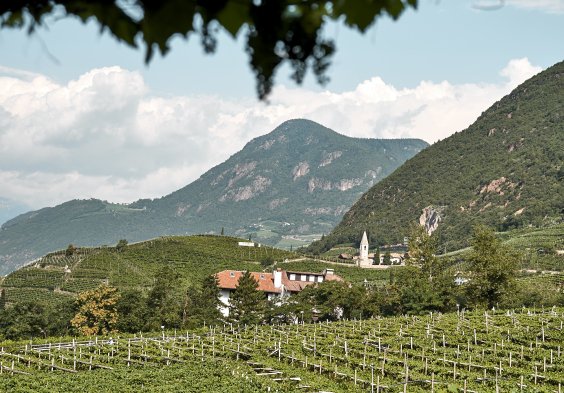 Waldgries Ausblick