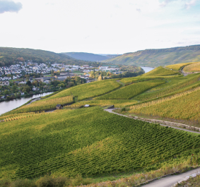 Wegeler Blick von Doctor Huette 2019 02