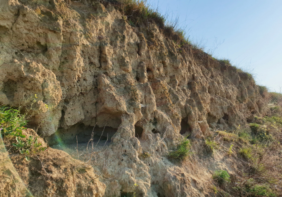Weingut Hiedler Loess
