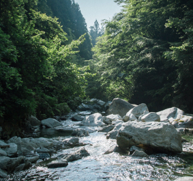 Yamanashi Meijo header
