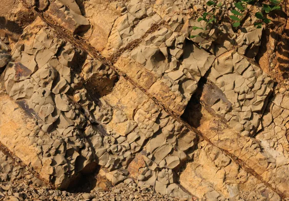 Zuccolo Colli Orientali 4