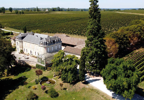 Chateau Carbonneau Vignoble
