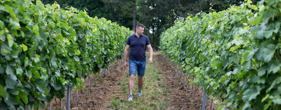 antinori tuzko 3