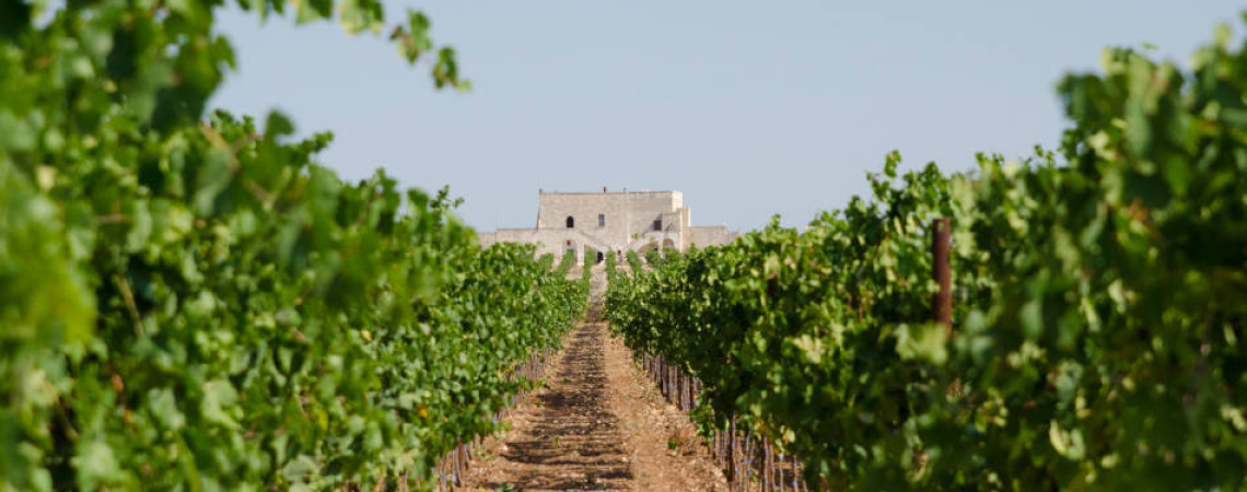 cantina sanmarzano