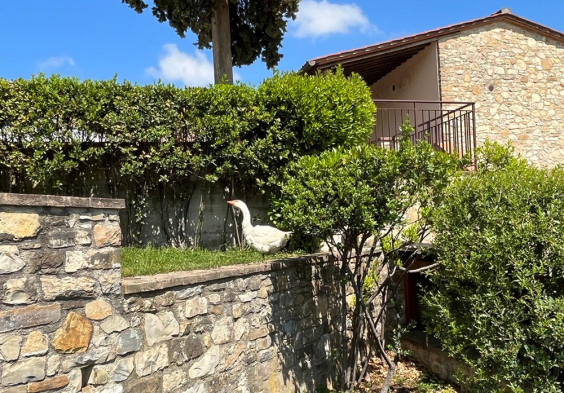 casa emma gans