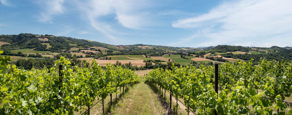 casali