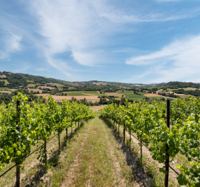 casali
