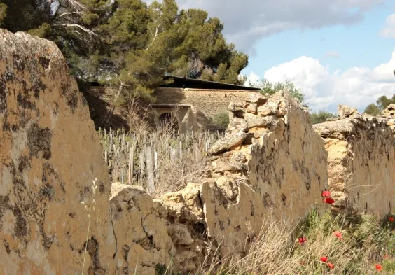 clos du caillou 093 Copie