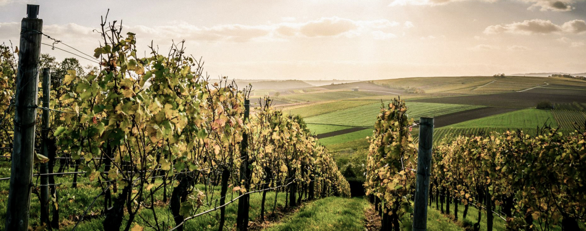 domaine bretauche 4
