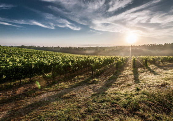 domaine bretauche