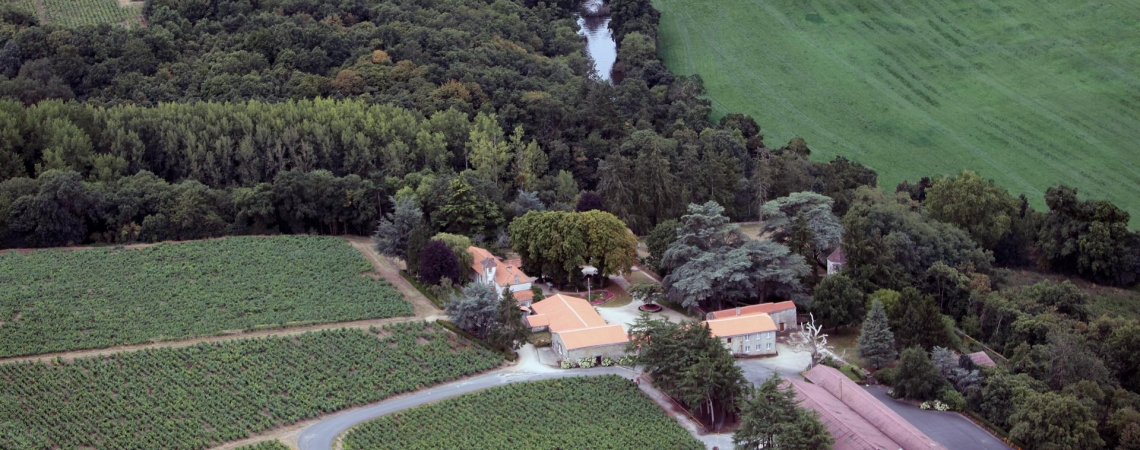 domaine chereau carre chasseloir aerien
