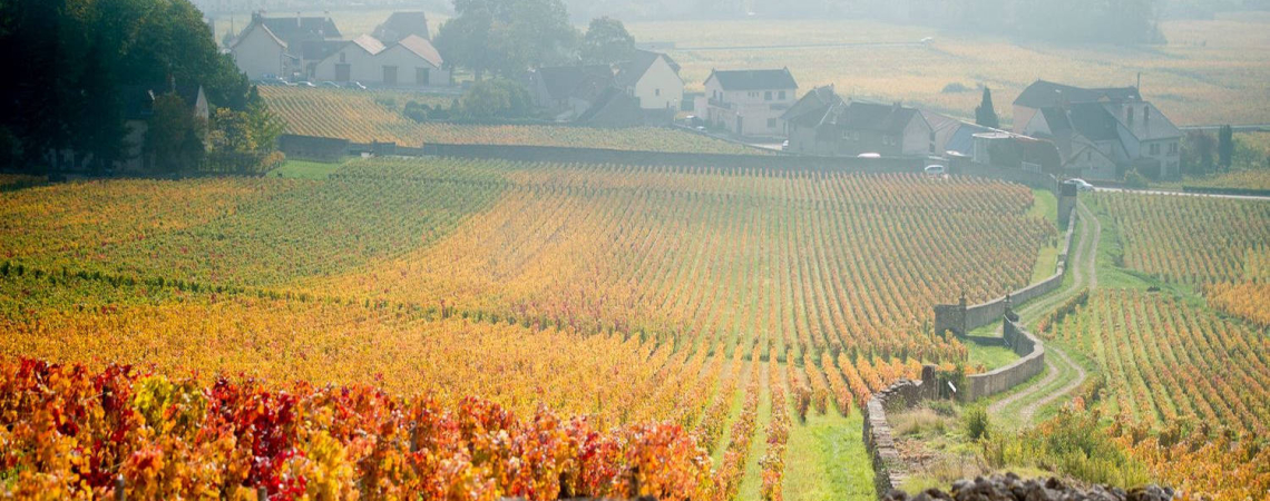 domaineguillon
