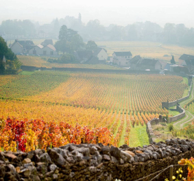 domaineguillon