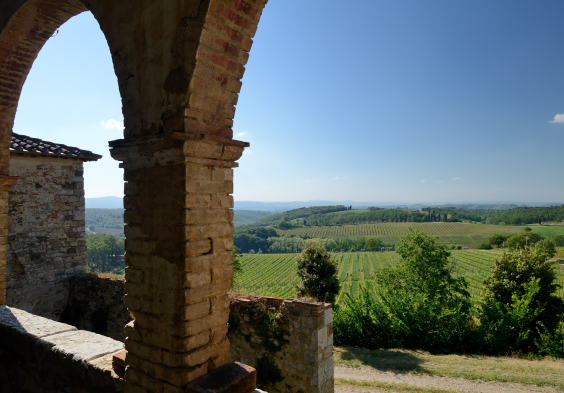 felsina (17)